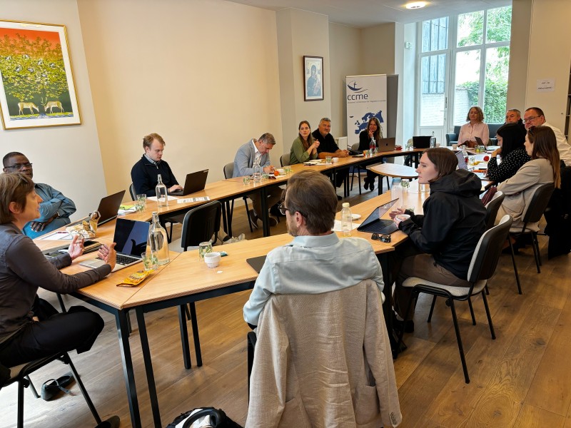 Participants share country experiences, relating to the EU Asylum and Migration Pact.